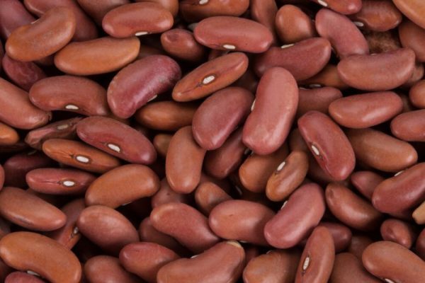 Nutrition facts of red beans