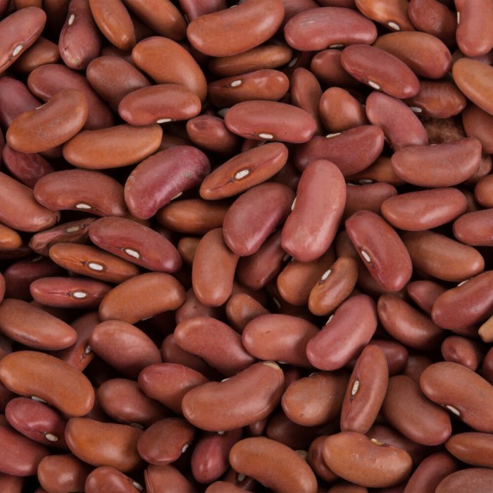 Nutrition facts of red beans