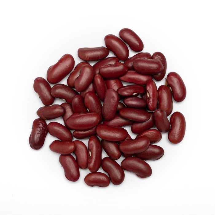 Nutrition facts of red beans