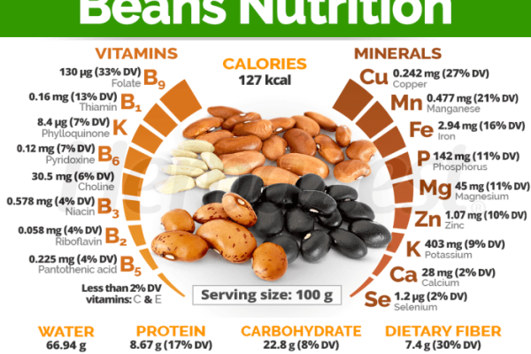 White beans nutrition facts