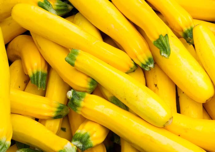 Yellow squash nutrition facts