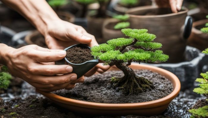 How often do you water bonsai plants