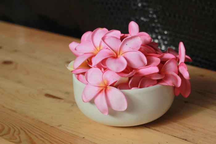 How often do you water plumeria plants