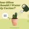 How Often Do You Water a Cactus Plant?