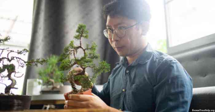 How often do you water a bonsai plant