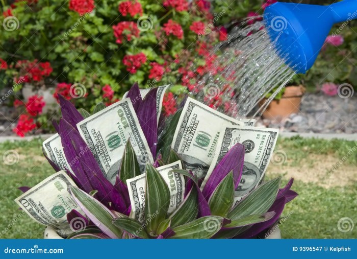 How much water to give money plant