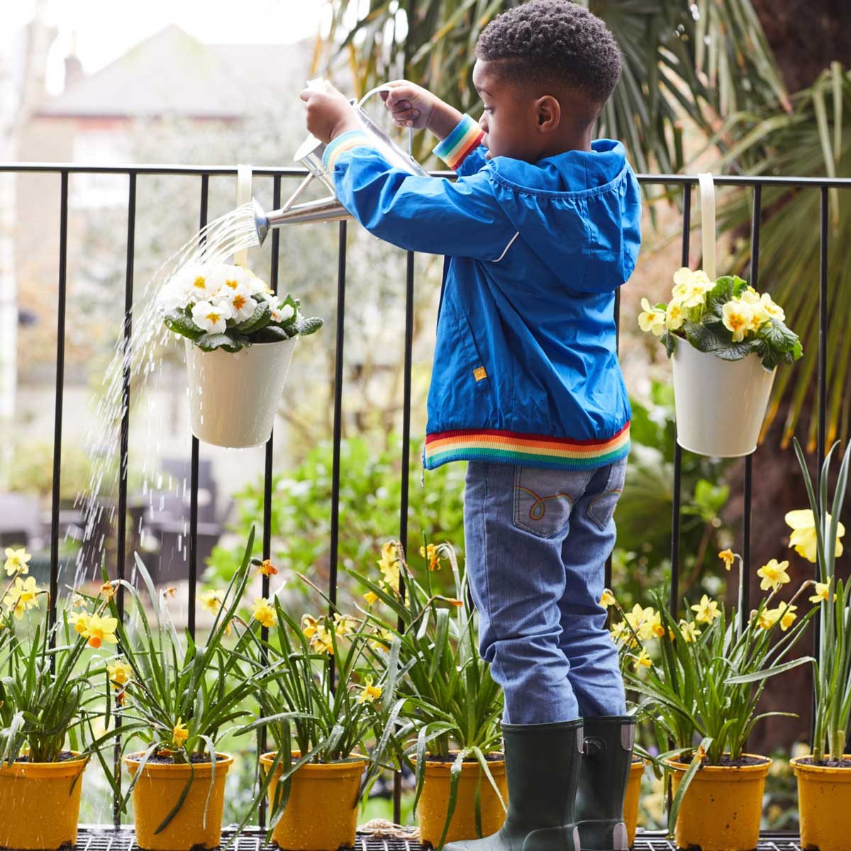 How often do nurseries water plants