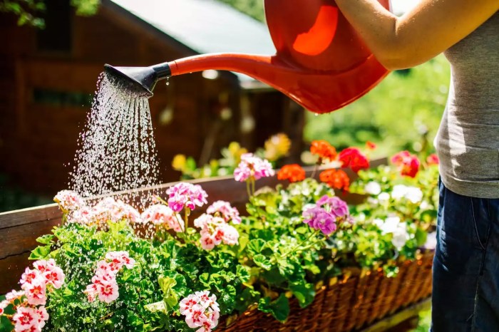 How much water to flush plants